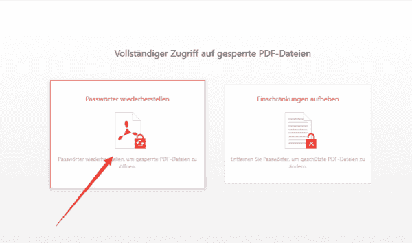 PDF passwort entfernen